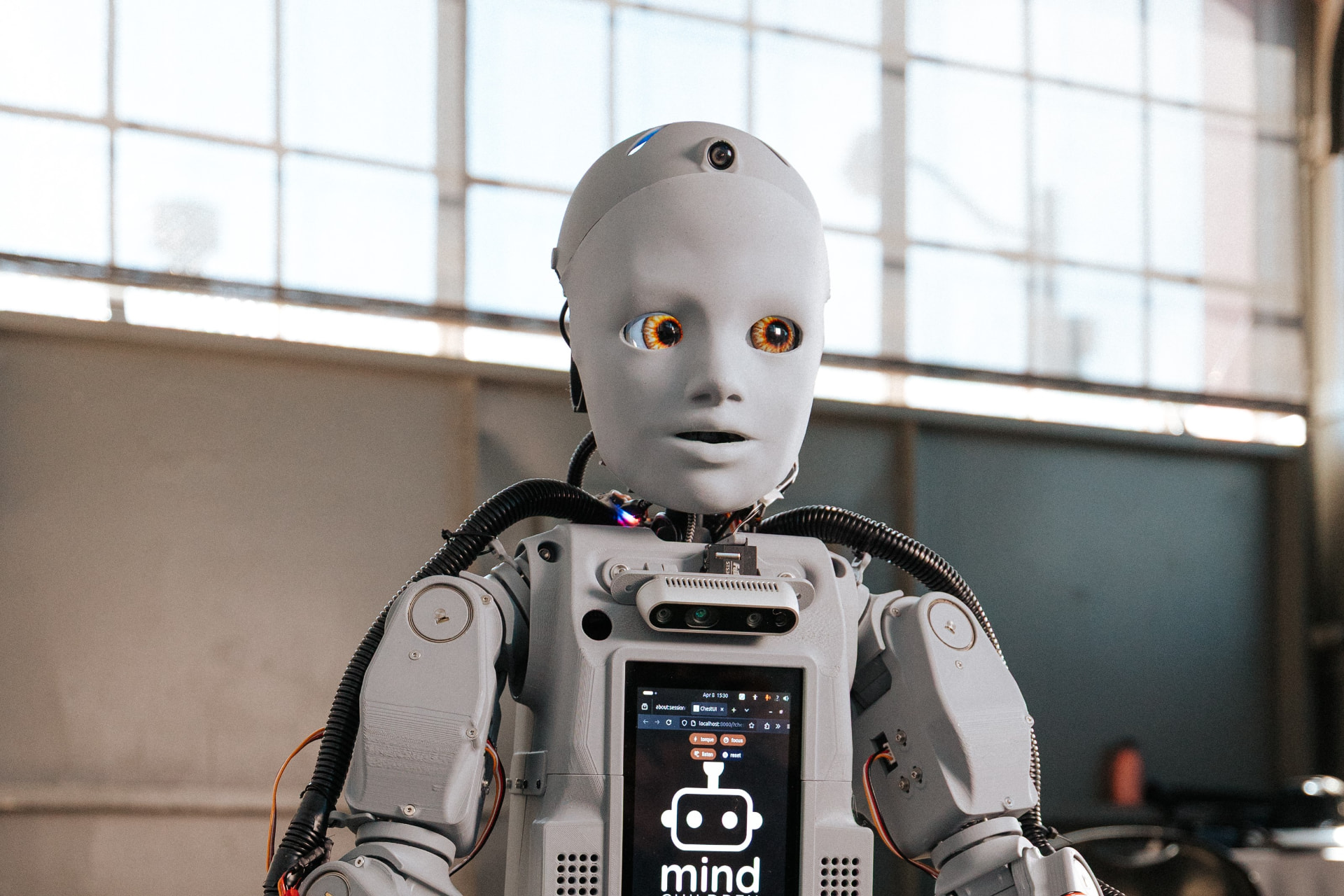 Codey social robot